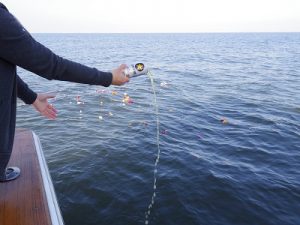 東京湾散骨