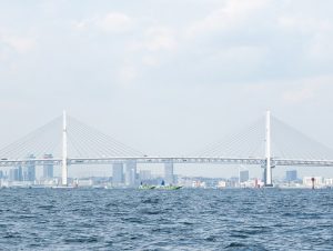 横浜合同散骨ベイブリッジ