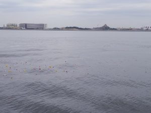 東京ディズニーランド沖散骨