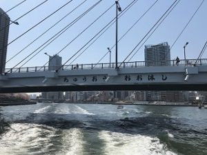 隅田川中央大橋