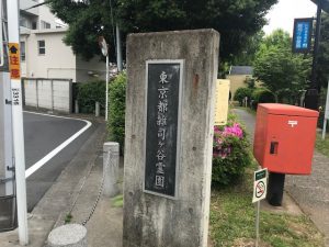 雑司ヶ谷霊園の墓じまいと海洋散骨