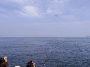 東京湾羽田空港沖散骨