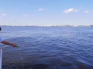 東京海洋散骨の家族散骨