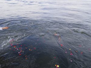 東京海洋散骨合同プラン