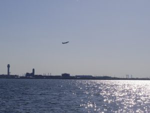 東京湾チャーター散骨