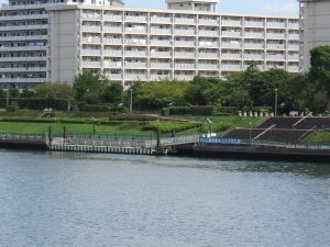 散骨費用の安い東京湾合同散骨