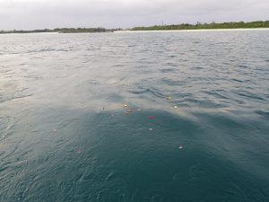 宮古島の海への散骨