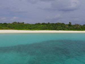 宮古島散骨