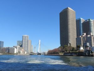 東京海洋散骨0120-009-352