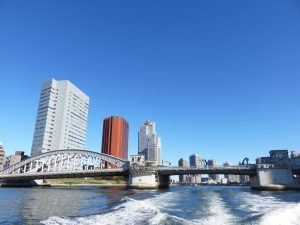 東京湾合同散骨