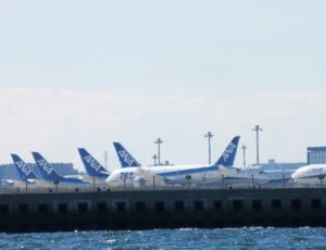 東京湾羽田空港沖散骨