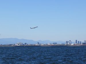 東京湾チャーター散骨