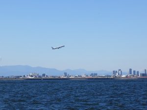 東京湾チャーター散骨