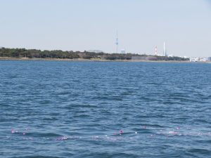 東京スカイツリーと海洋散骨