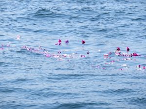 東京の海洋散骨会社