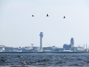 羽田空港沖海洋散骨