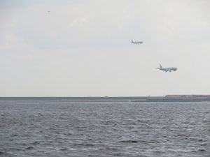 東京湾合同散骨