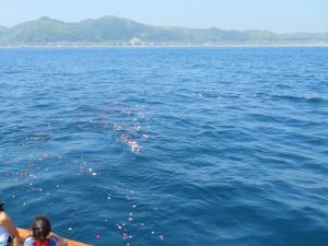 東京海洋散骨の館山散骨