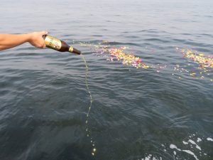 東京海洋散骨の代行プラン