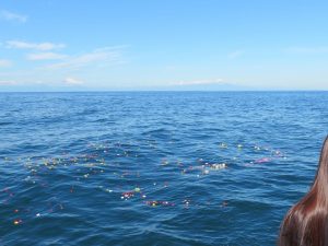 神奈川県の海洋散骨