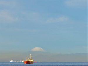 東京湾委託代行散骨