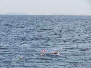 神奈川県の海洋散骨