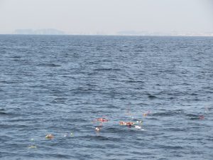 神奈川県の海洋散骨