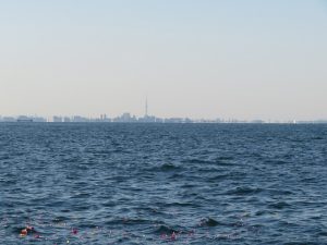 東京湾代理散骨