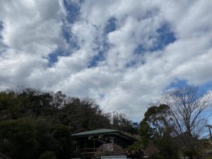 横浜の墓じまいと海洋散骨