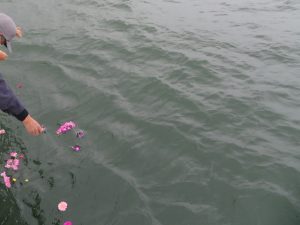 東京湾合同散骨