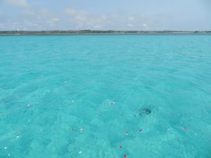 下地島沖海洋散骨