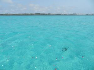 下地島沖海洋散骨