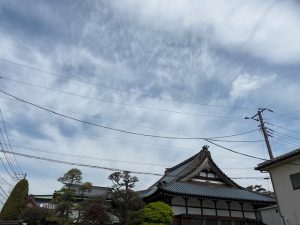 東京都のお墓じまいと海洋散骨