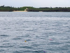 宮古島チャーター散骨