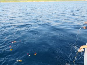 宮古島の海への散骨