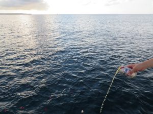 宮古島の海へ代理散骨