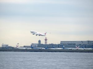 羽田空港沖散骨