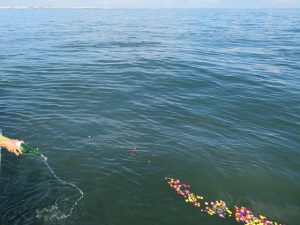 東京海洋散骨の合同プラン