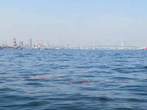 横浜と東京の海洋散骨