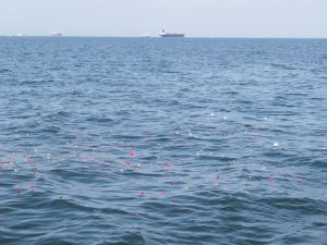 東京湾チャーター散骨