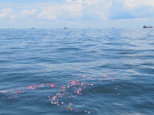 横浜の海散骨