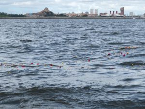 ディズニーシー沖の東京湾散骨