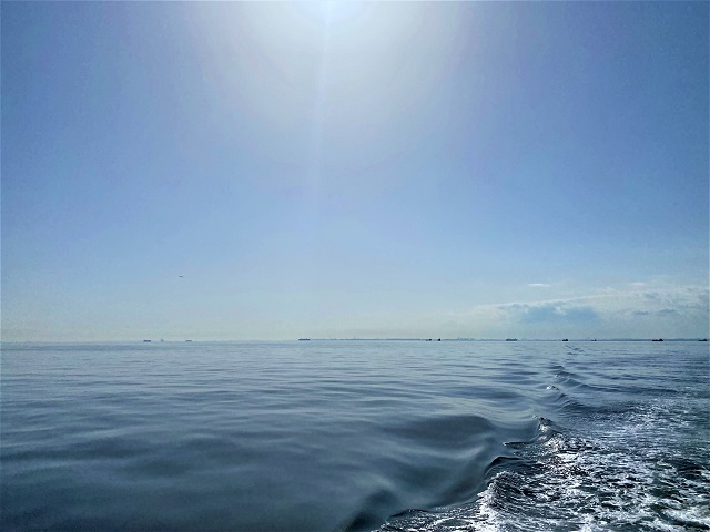 穏やかな東京湾へ散骨