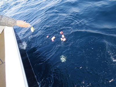 生命の源である海へ散骨