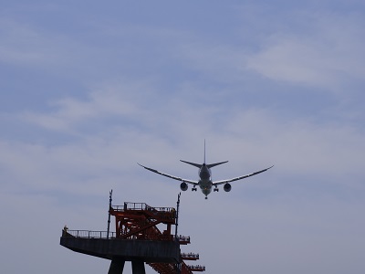 東京湾羽田空港沖での散骨