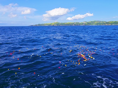 伊豆半島海洋散骨