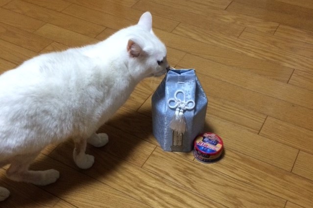 お友達猫ちゃんをお見送り